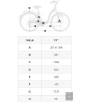 BICI MONTY CITY 4 tallas