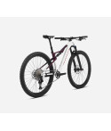 Orbea Oiz H30 XC 2023