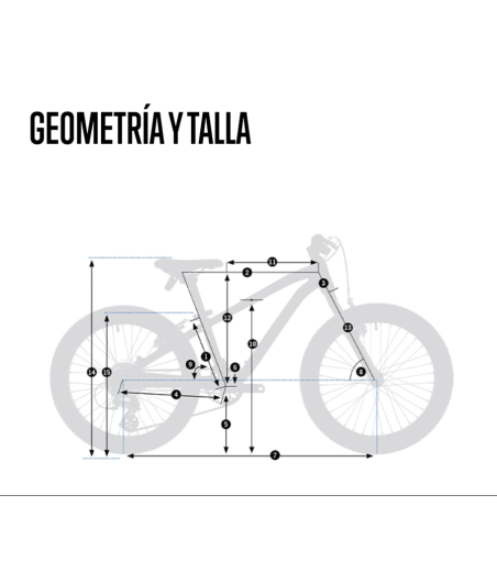 geometría mx 24